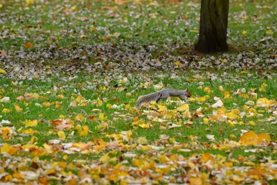 DSC_0576 (Large).JPG